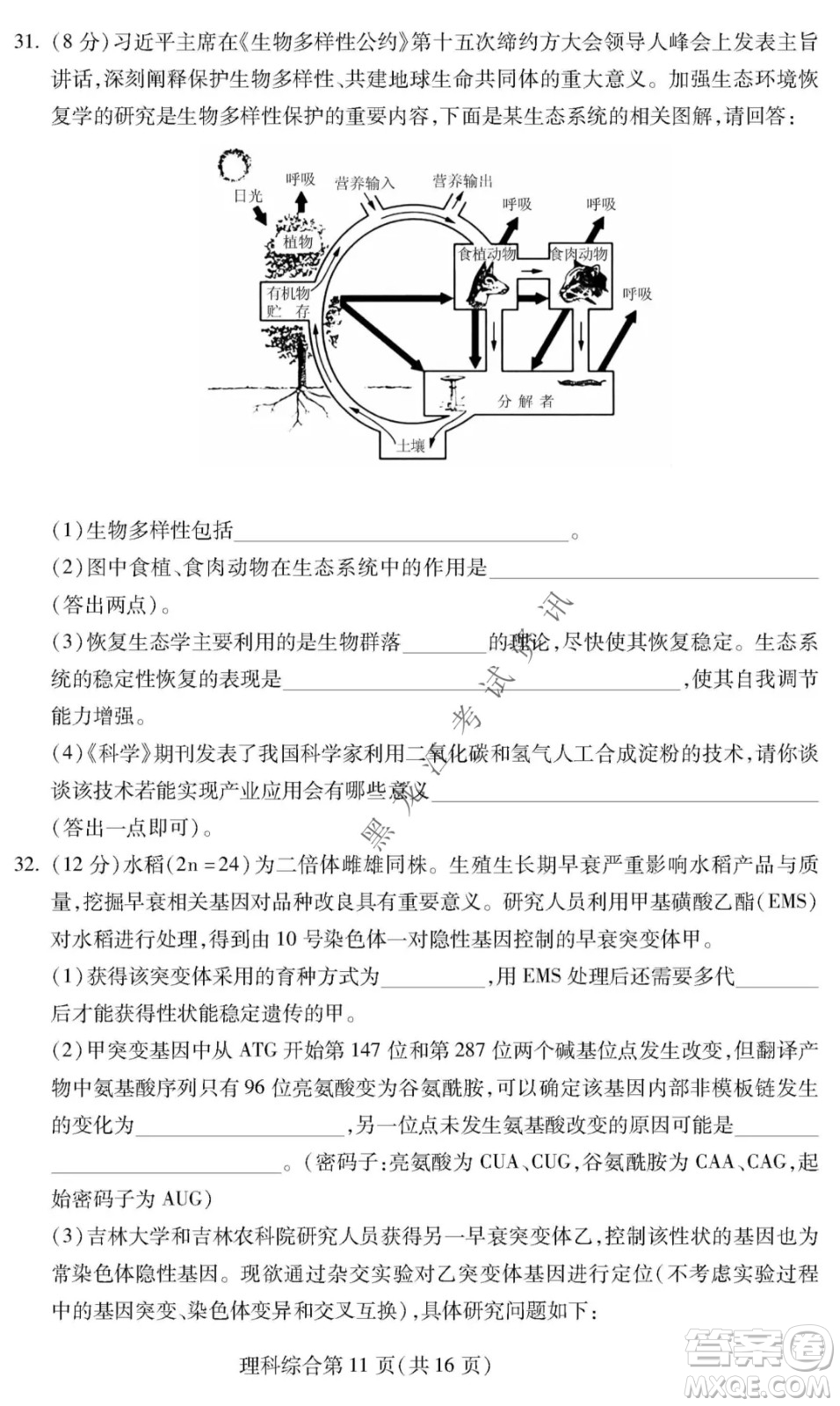 2022年東北三省四市教研聯(lián)合體高考模擬試卷一理科綜合試題及答案