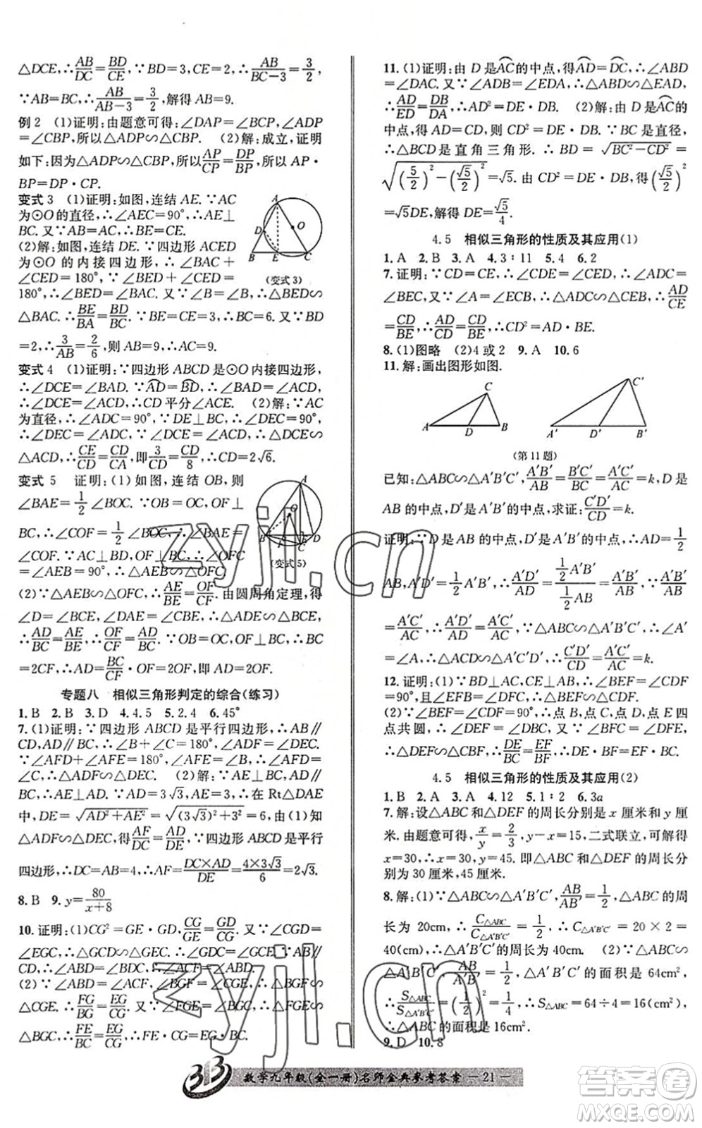 云南科技出版社2022名師金典BFB初中課時(shí)優(yōu)化九年級(jí)數(shù)學(xué)全一冊(cè)浙教版答案