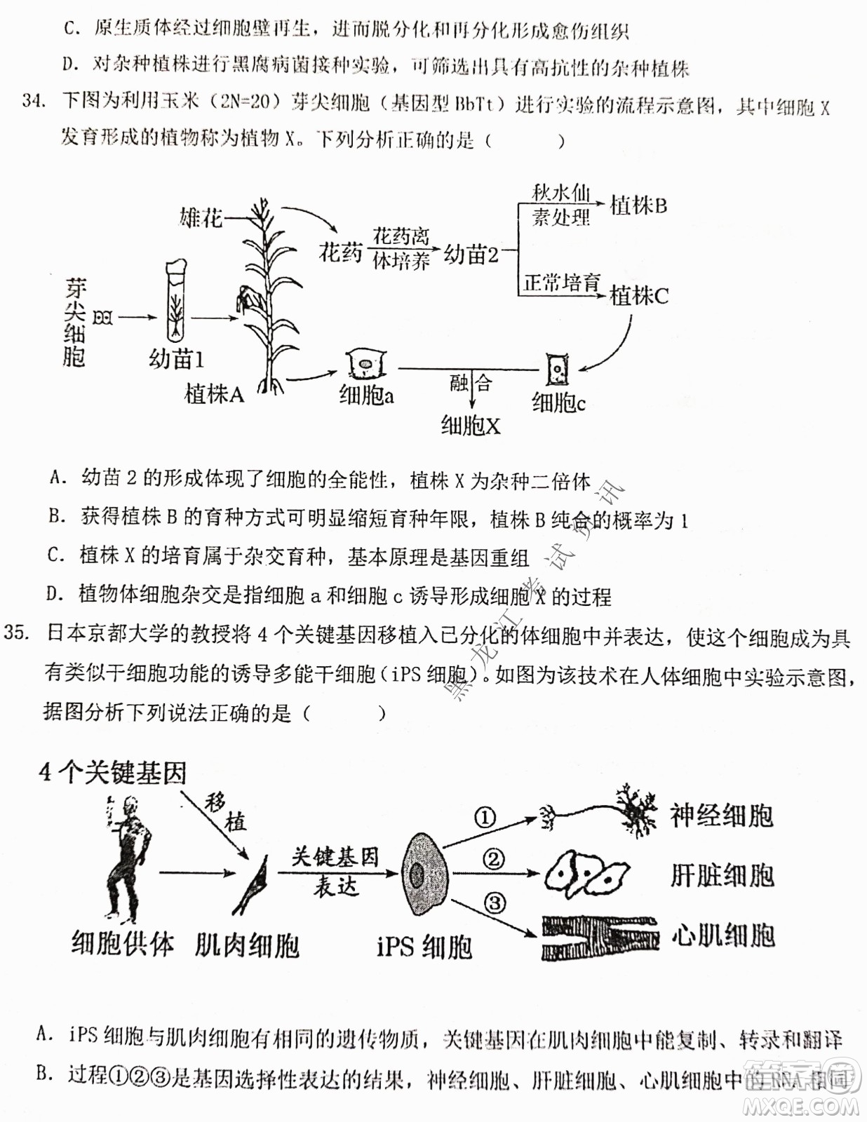 大慶實驗中學(xué)實驗一部2020級高二下學(xué)期期中考試生物試題及答案