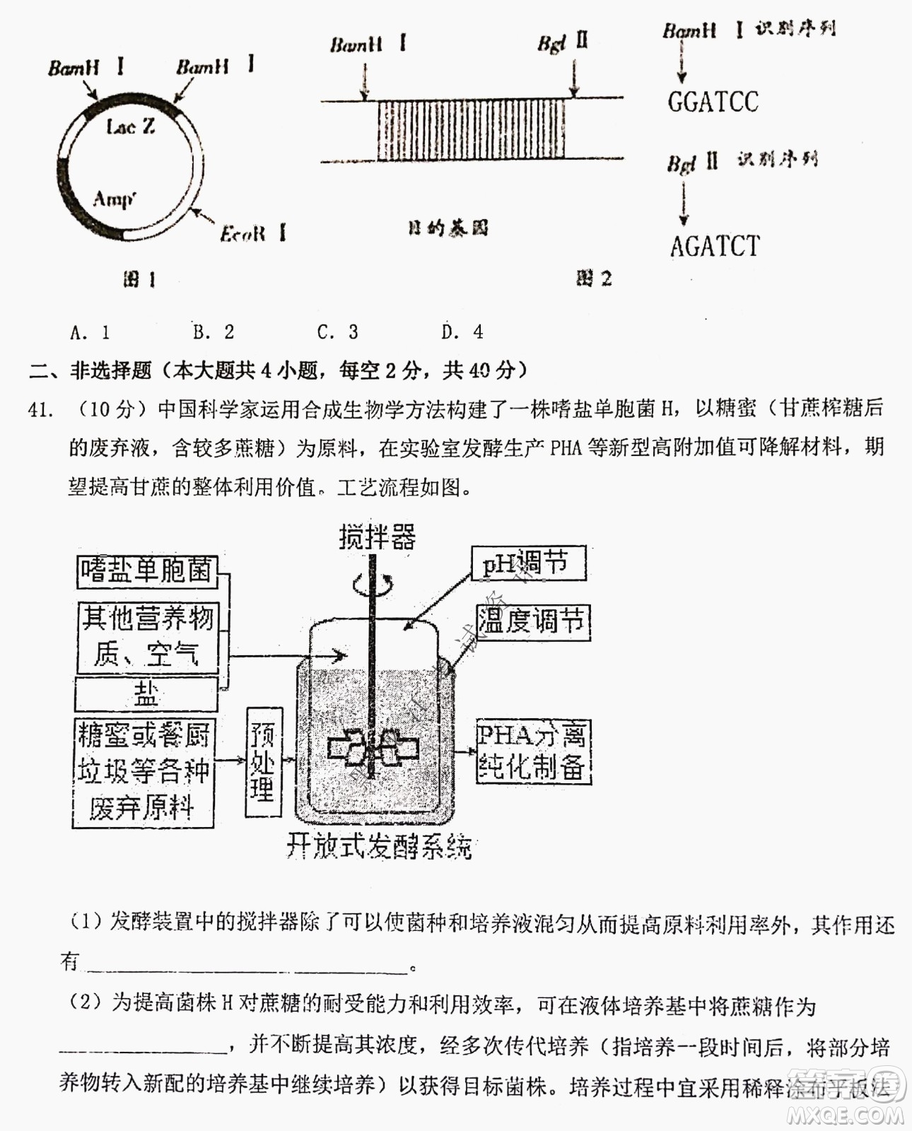 大慶實驗中學(xué)實驗一部2020級高二下學(xué)期期中考試生物試題及答案