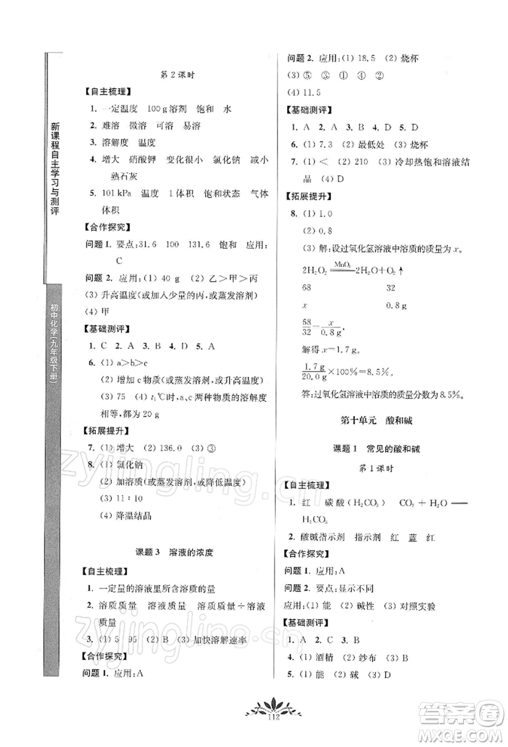 南京師范大學(xué)出版社2022新課程自主學(xué)習(xí)與測(cè)評(píng)九年級(jí)下冊(cè)化學(xué)人教版參考答案