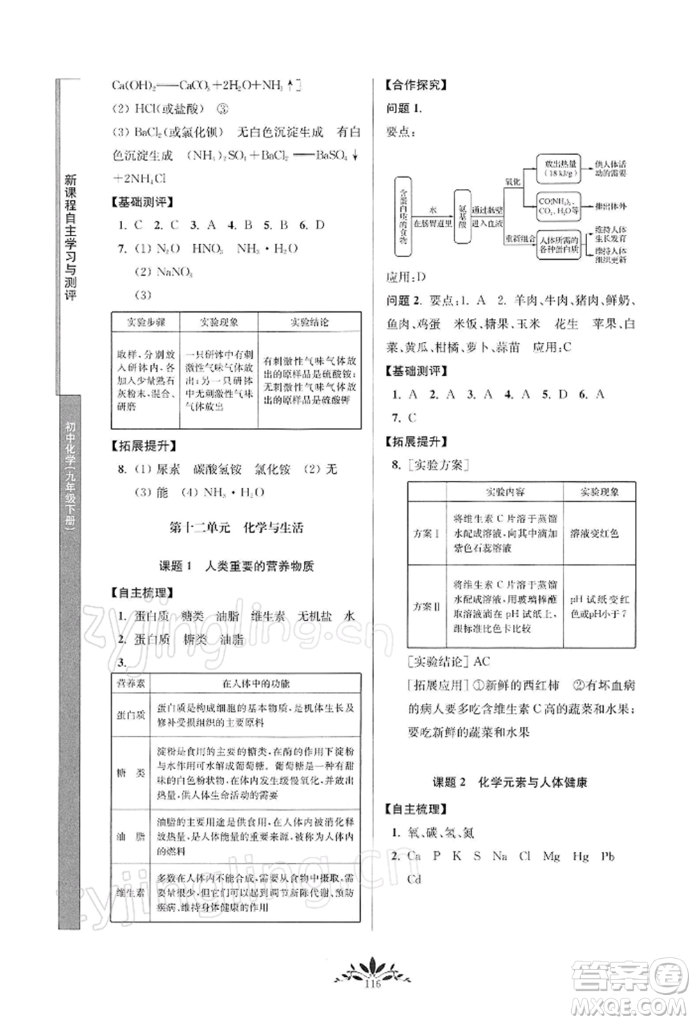 南京師范大學(xué)出版社2022新課程自主學(xué)習(xí)與測(cè)評(píng)九年級(jí)下冊(cè)化學(xué)人教版參考答案