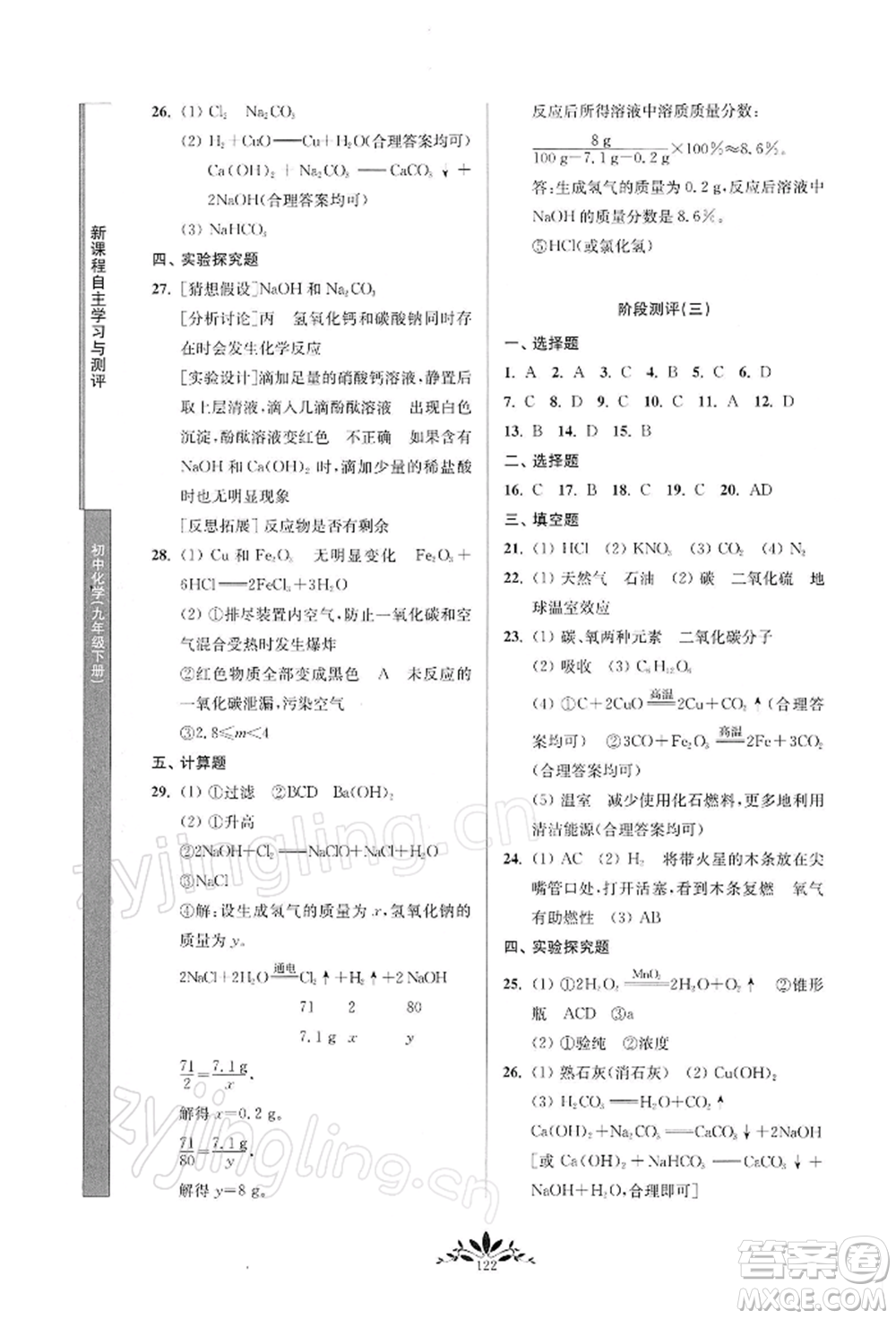 南京師范大學(xué)出版社2022新課程自主學(xué)習(xí)與測(cè)評(píng)九年級(jí)下冊(cè)化學(xué)人教版參考答案