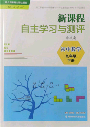 南京師范大學(xué)出版社2022新課程自主學(xué)習(xí)與測(cè)評(píng)九年級(jí)下冊(cè)數(shù)學(xué)人教版參考答案