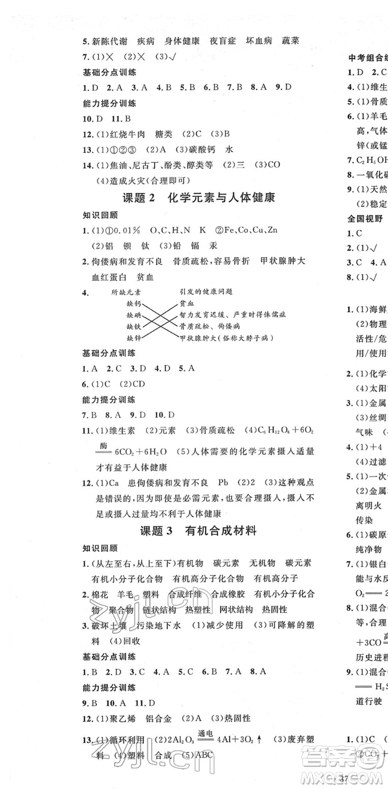 延邊教育出版社2022暢行課堂九年級化學(xué)下冊RJB人教版山西專版答案