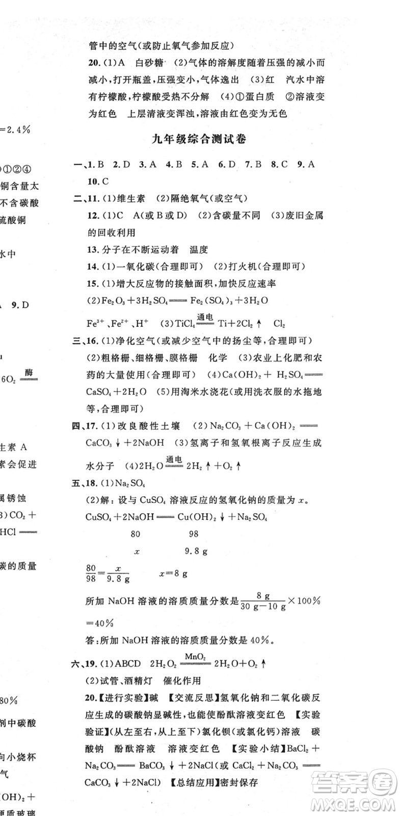 延邊教育出版社2022暢行課堂九年級化學(xué)下冊RJB人教版山西專版答案