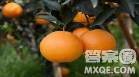 有一個(gè)充滿幻想的青年材料作文600字 關(guān)于有一個(gè)充滿幻想的青年的材料作文600字