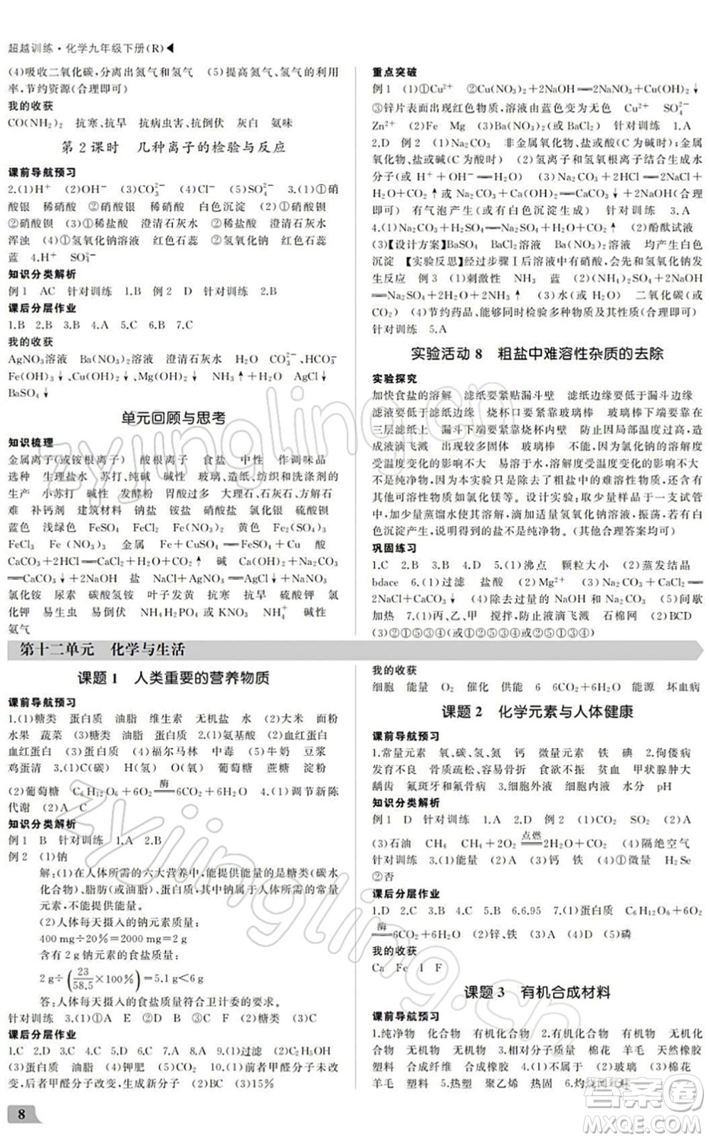 內(nèi)蒙古大學(xué)出版社2022超越訓(xùn)練九年級(jí)化學(xué)下冊R人教版答案