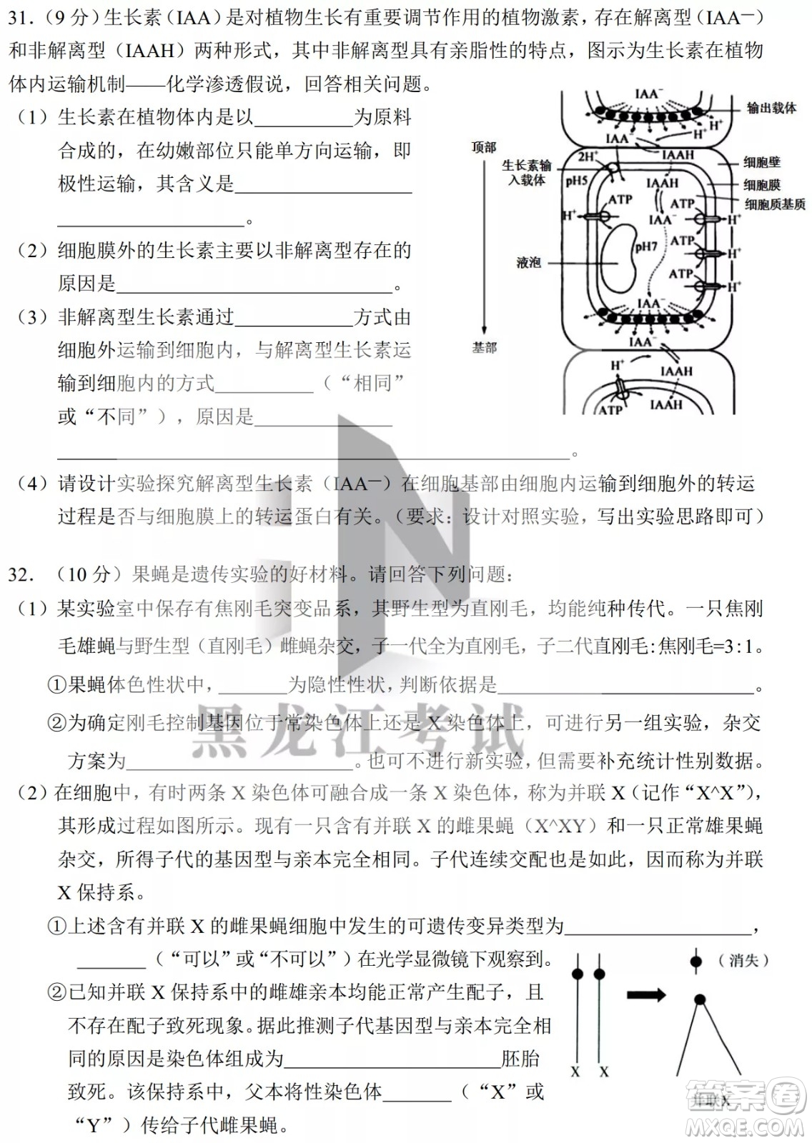 2022年哈三中第四次高考模擬考試?yán)砜凭C合試卷及答案