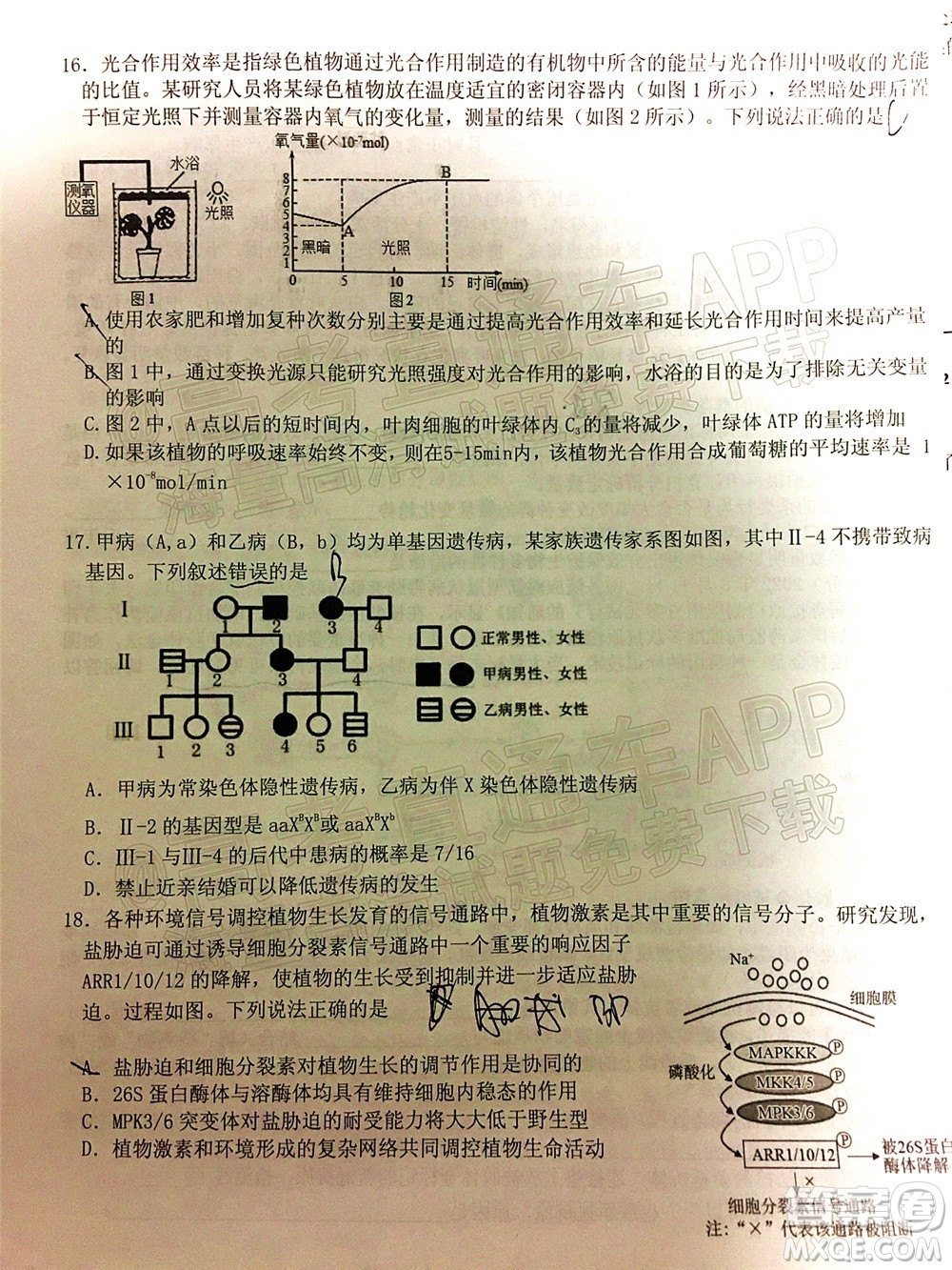 山東中學(xué)聯(lián)盟2022年高考考前熱身押題高三生物試題及答案