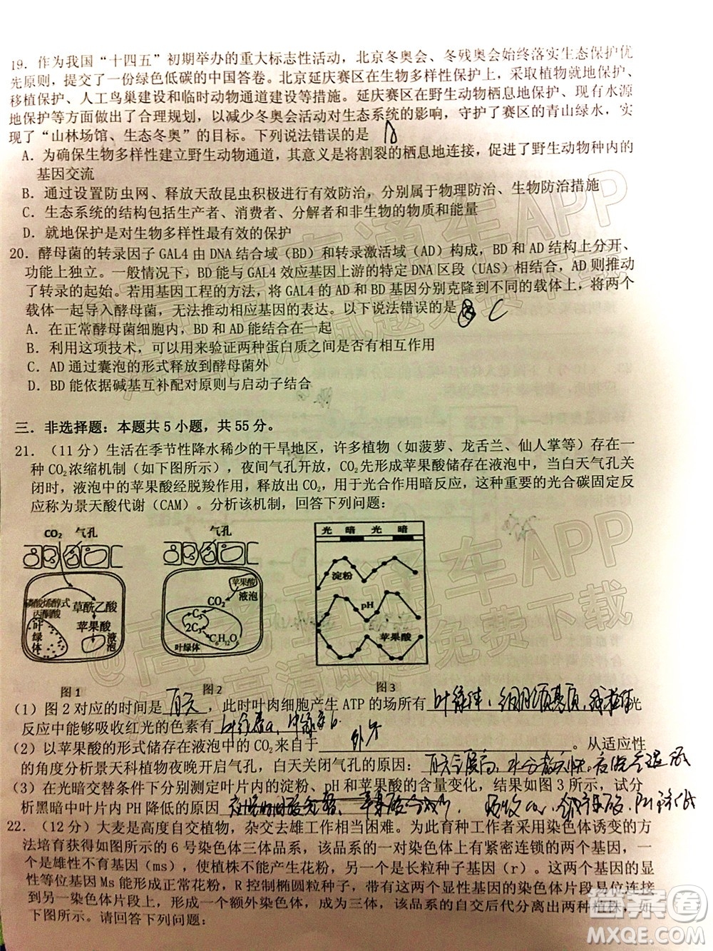 山東中學(xué)聯(lián)盟2022年高考考前熱身押題高三生物試題及答案