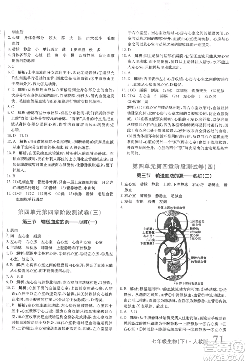 北京教育出版社2022提分教練優(yōu)學(xué)導(dǎo)練測(cè)試卷七年級(jí)下冊(cè)生物人教版參考答案