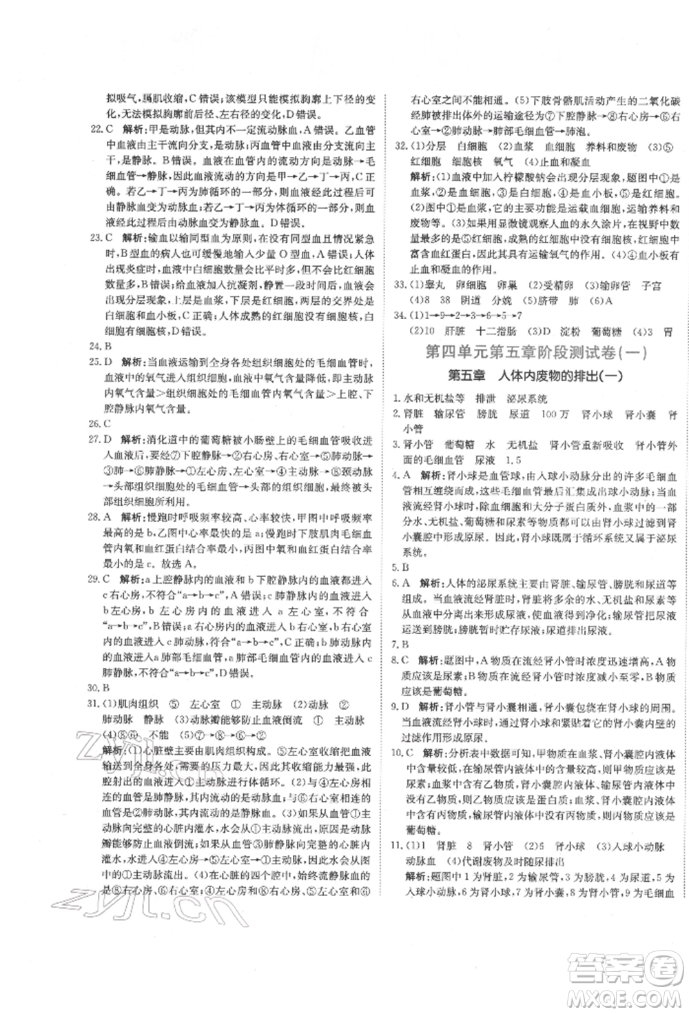 北京教育出版社2022提分教練優(yōu)學(xué)導(dǎo)練測(cè)試卷七年級(jí)下冊(cè)生物人教版參考答案