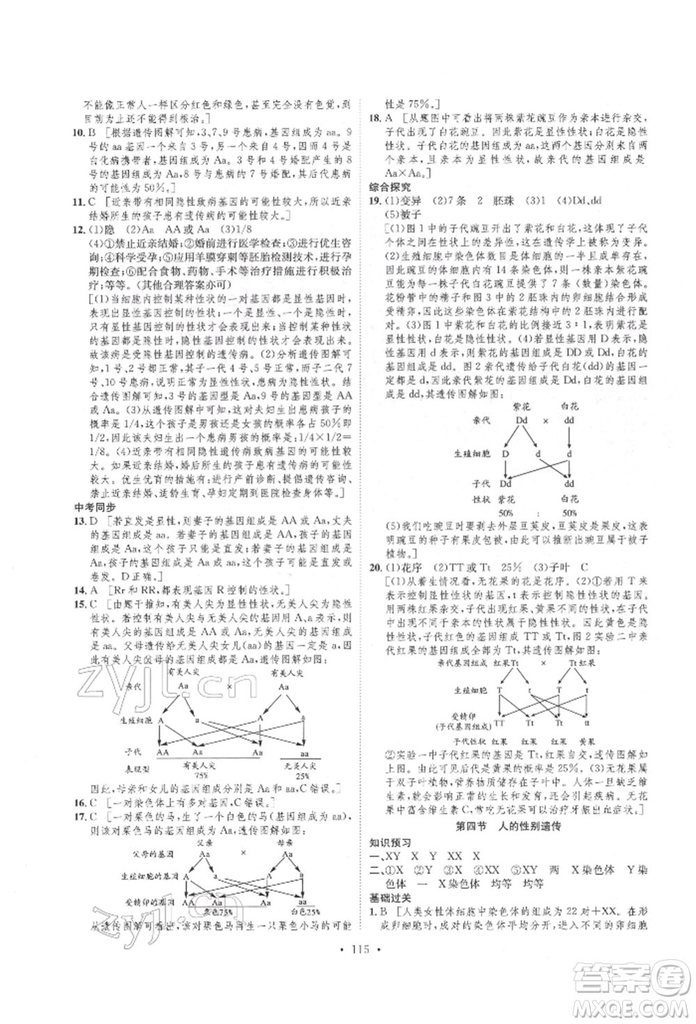 方圓電子音像出版社2022思路教練同步課時(shí)作業(yè)八年級(jí)下冊(cè)生物人教版參考答案