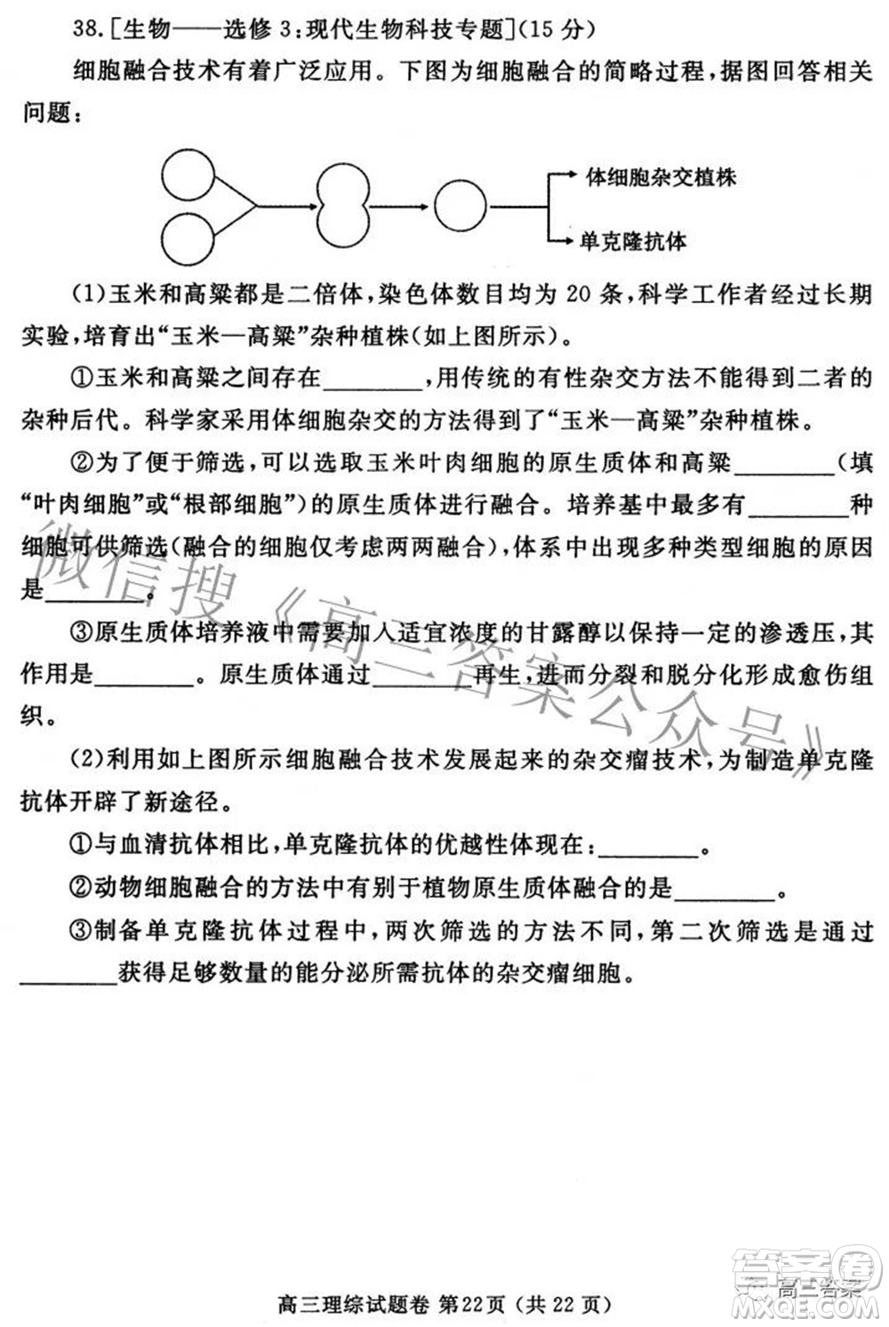 鄭州市2022年高中畢業(yè)年級(jí)第三次質(zhì)量預(yù)測(cè)理科綜合試題及答案