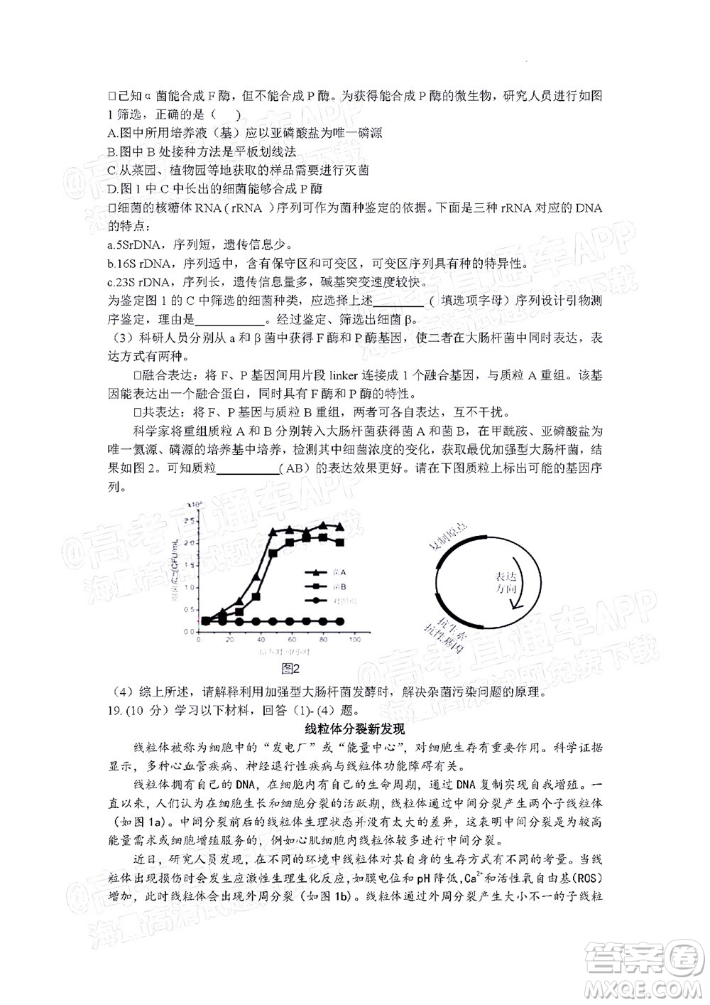 北京房山區(qū)2022年高考二?？荚囋嚲砀呷飳W(xué)試題及答案