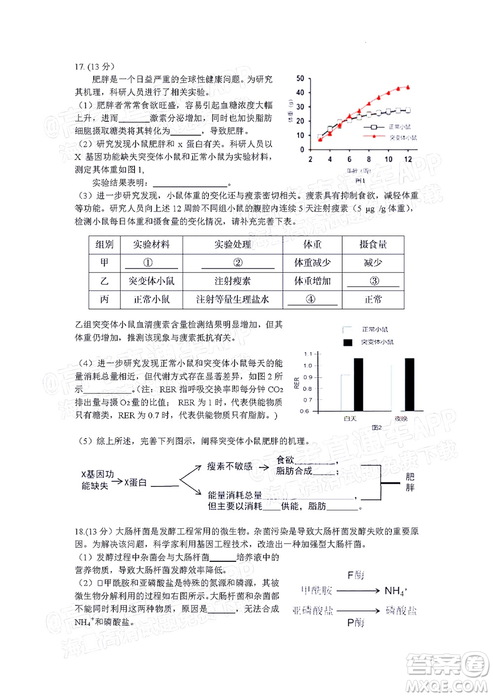 北京房山區(qū)2022年高考二?？荚囋嚲砀呷飳W(xué)試題及答案