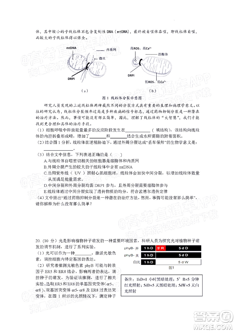 北京房山區(qū)2022年高考二?？荚囋嚲砀呷飳W(xué)試題及答案