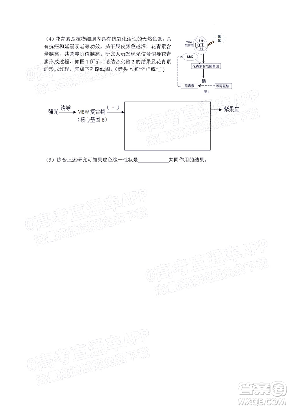 北京房山區(qū)2022年高考二?？荚囋嚲砀呷飳W(xué)試題及答案