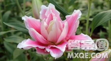 攜手雕刻時光共創(chuàng)豐盈人生倡議書作文800字 關(guān)于攜手雕刻時光共創(chuàng)豐盈人生的倡議書作文800字