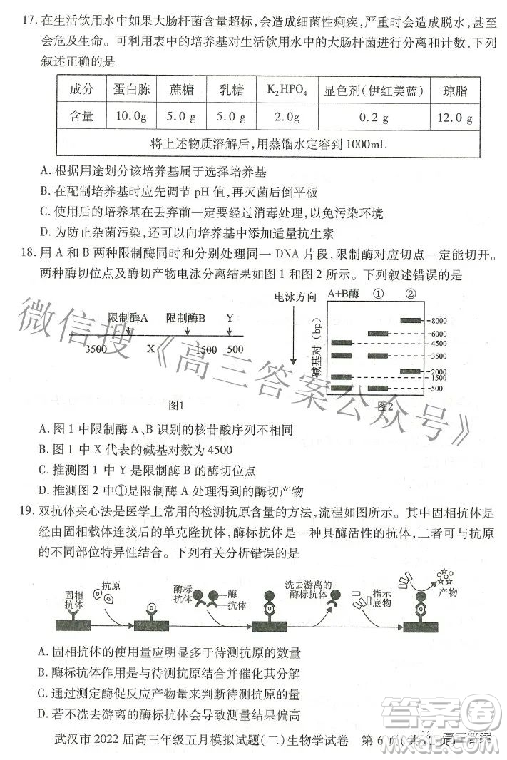 武漢市2022屆高三年級(jí)五月模擬試題二生物學(xué)試題及答案