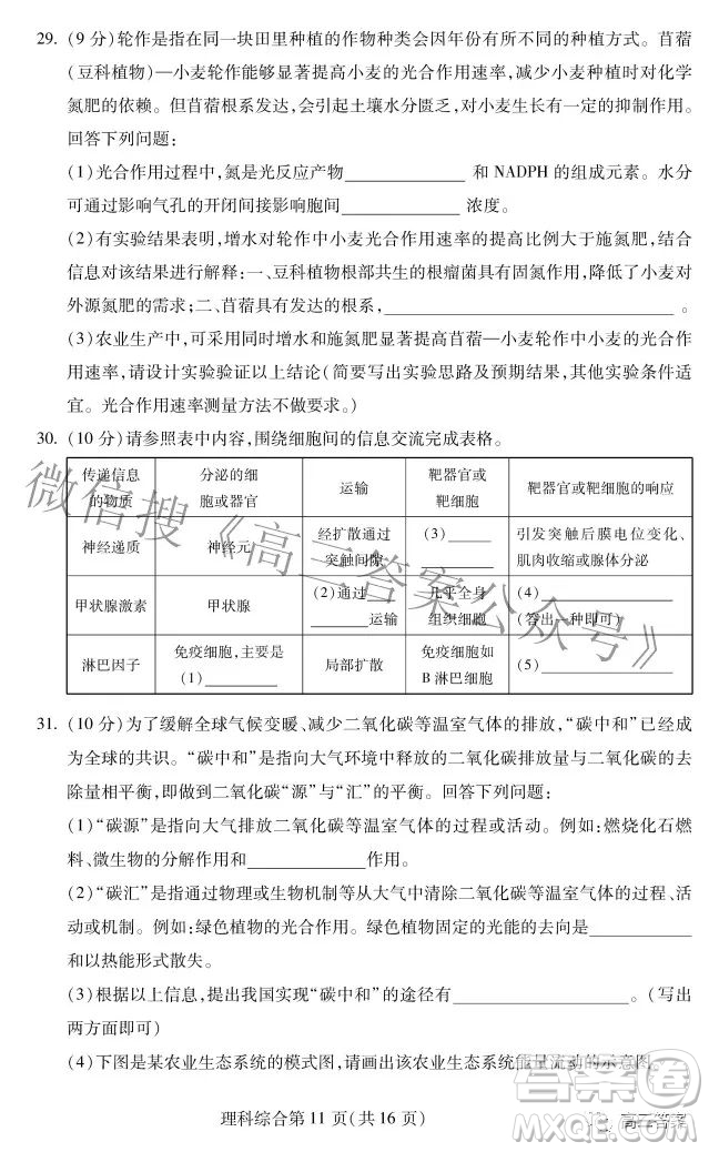 2022年東北三省四市教研聯(lián)合體高考模擬試卷二理科綜合試題及答案