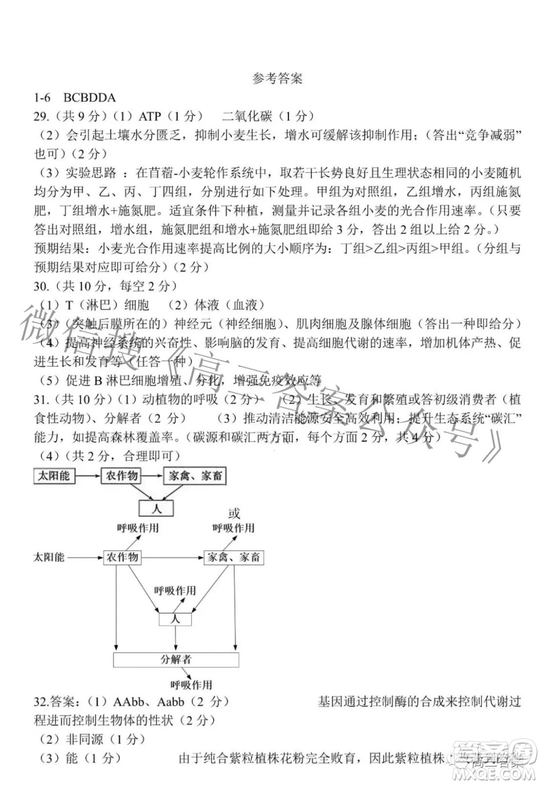 2022年東北三省四市教研聯(lián)合體高考模擬試卷二理科綜合試題及答案