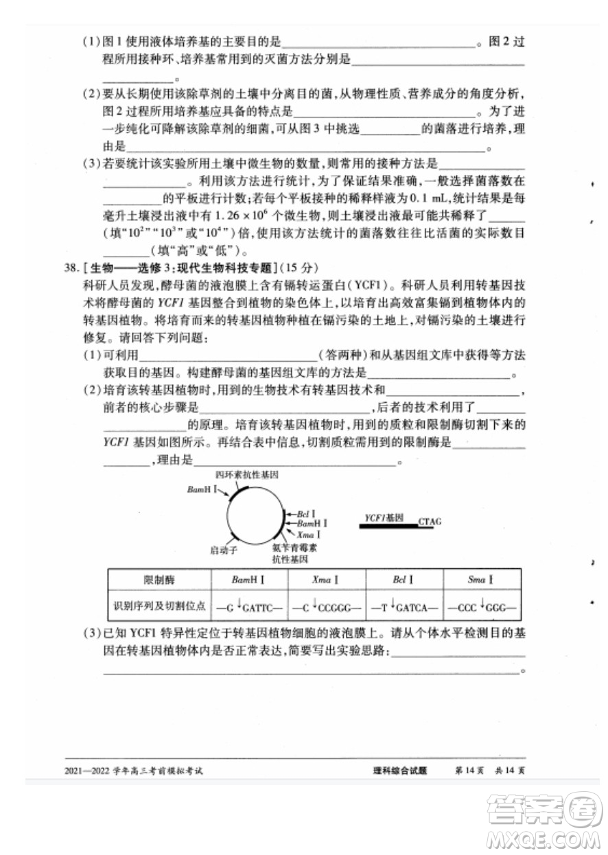 天一大聯(lián)考2021-2022學(xué)年高三考前模擬考試?yán)砜凭C合試題及答案