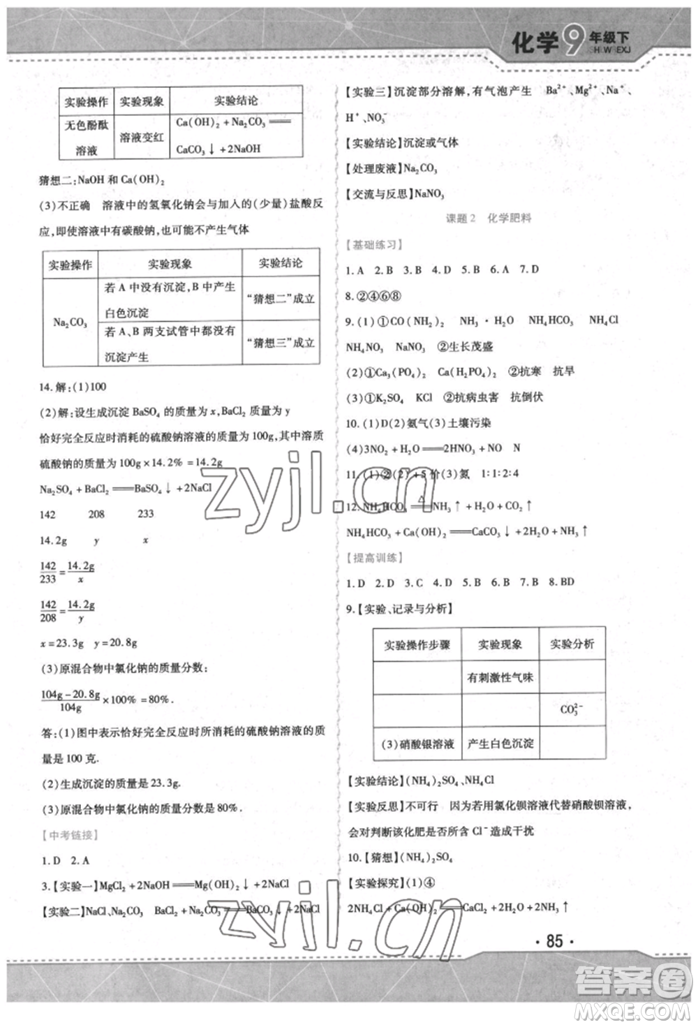 吉林出版集團(tuán)股份有限公司2022精析巧練階段驗(yàn)收與測試九年級(jí)下冊化學(xué)人教版參考答案