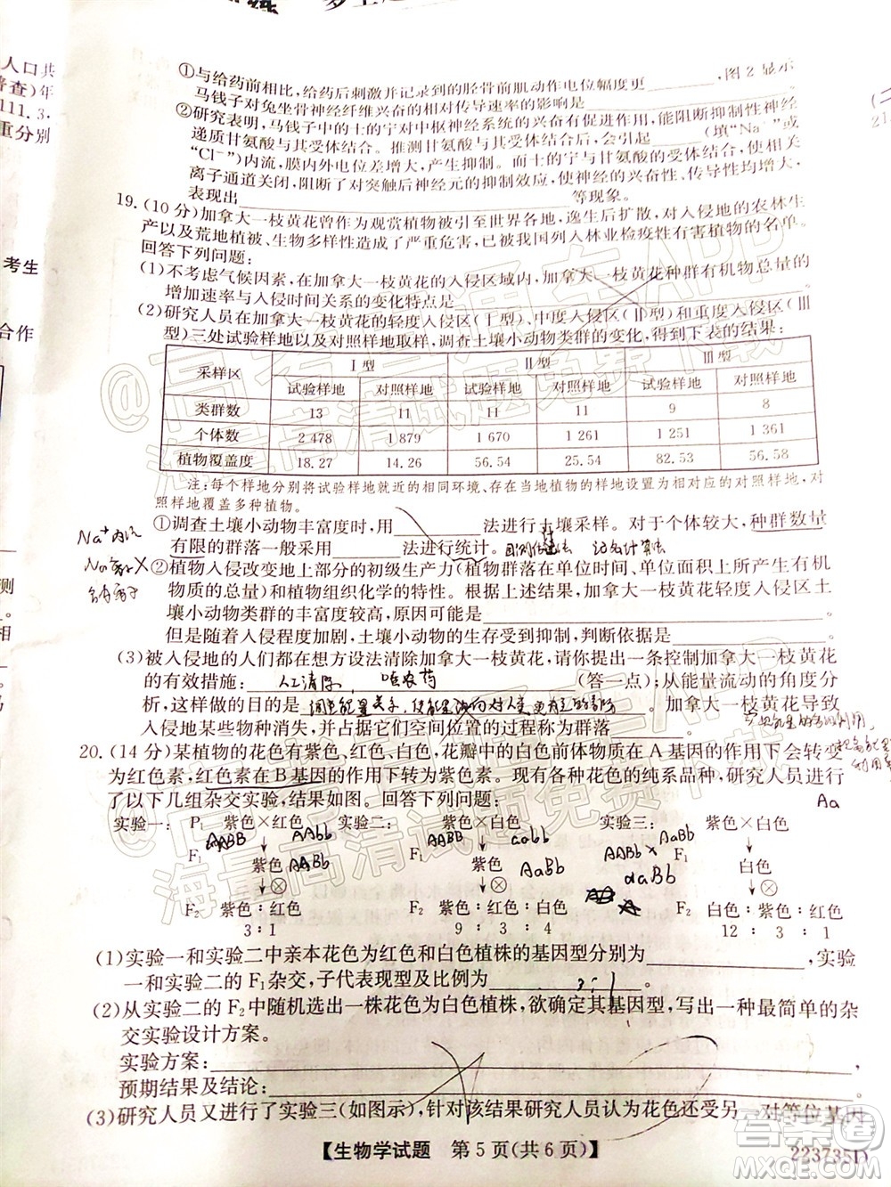 2022廣東高三5月聯(lián)考生物學(xué)試題及答案