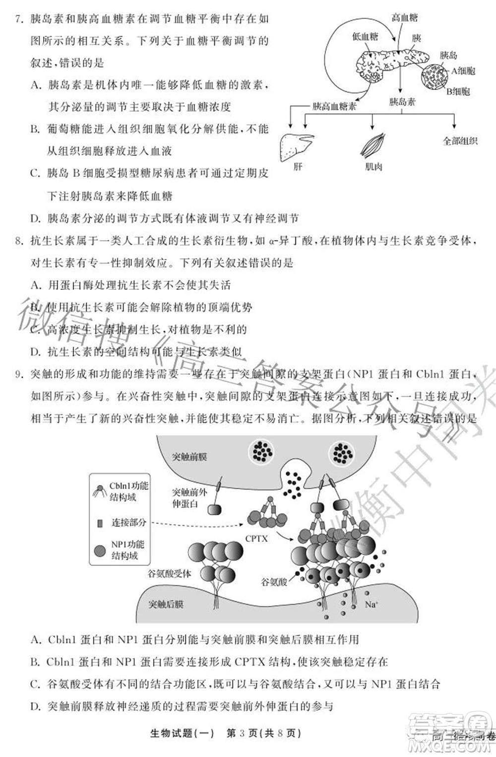 2022衡中同卷押題卷一生物試題及答案