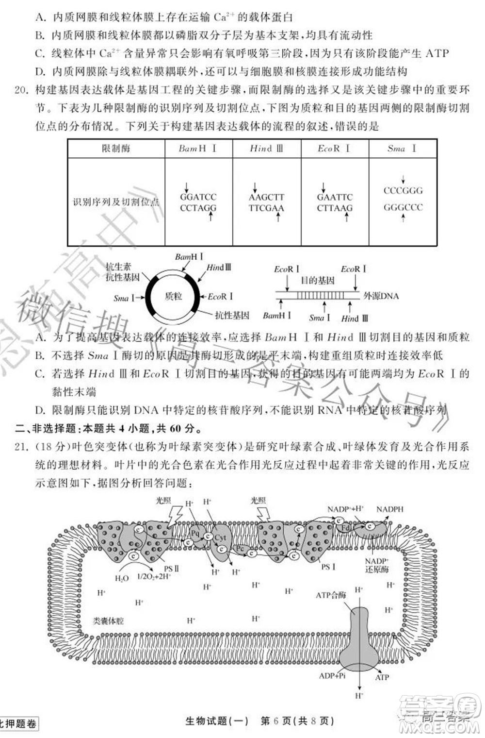 2022衡中同卷押題卷一生物試題及答案