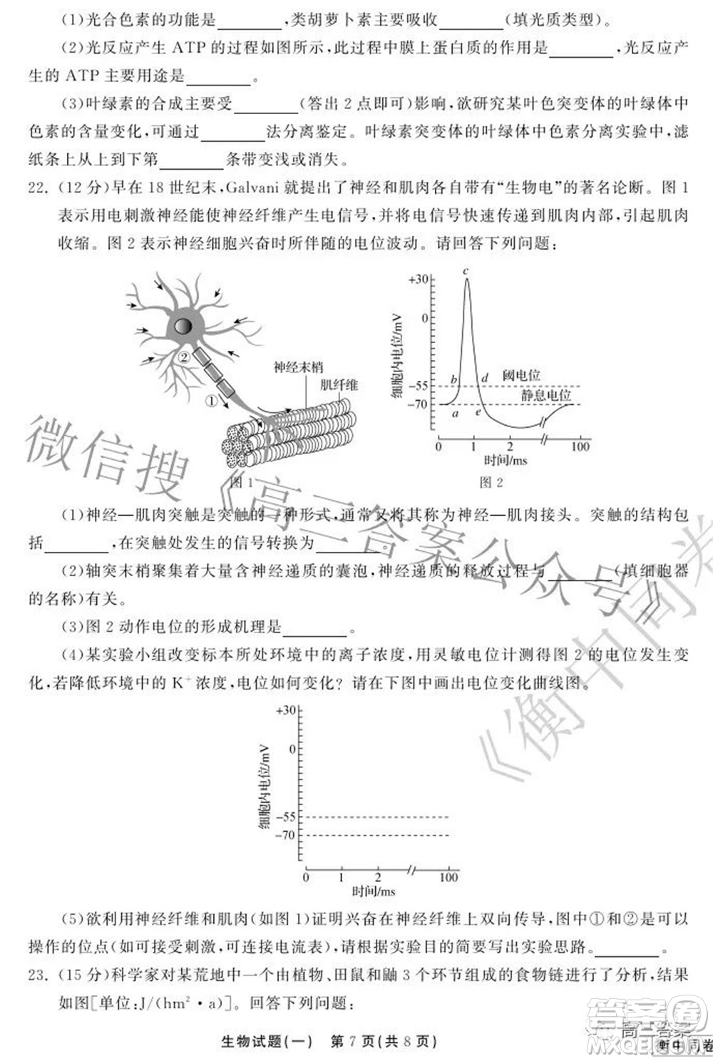 2022衡中同卷押題卷一生物試題及答案