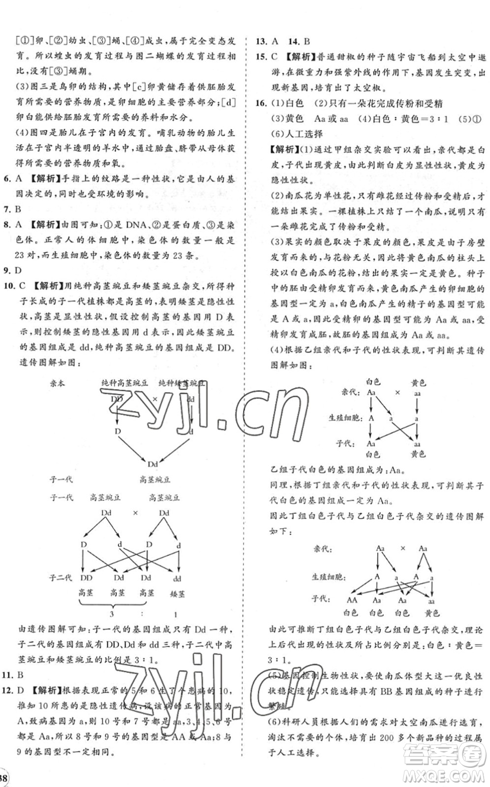 海南出版社2022知行課堂新課程同步練習冊八年級生物下冊人教版答案