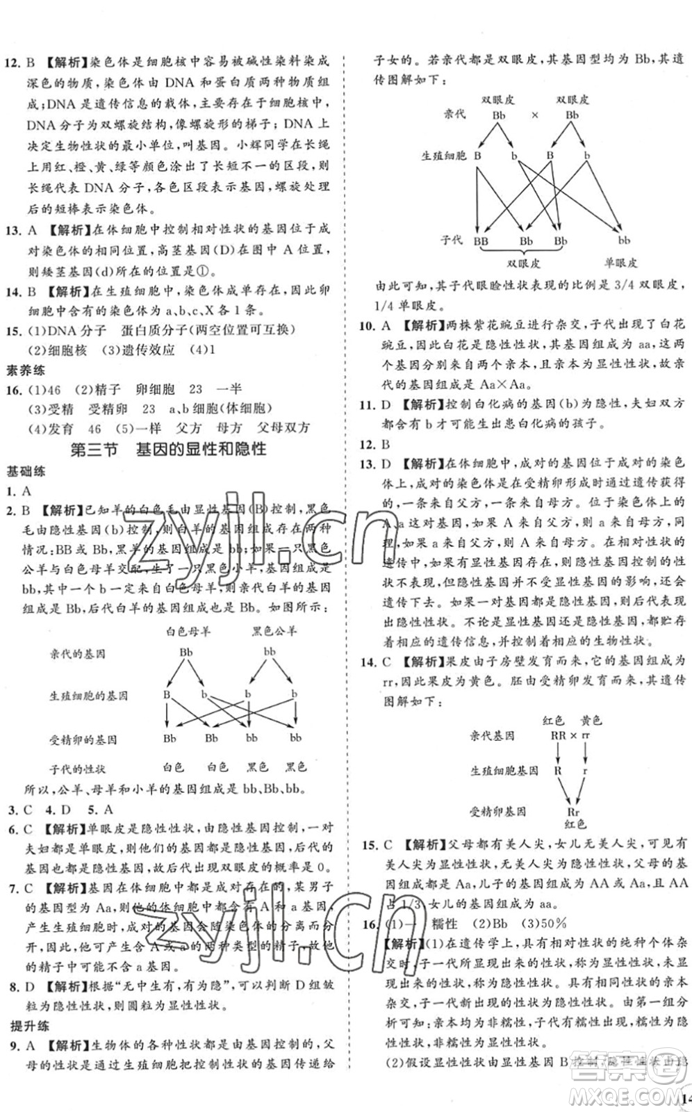 海南出版社2022知行課堂新課程同步練習冊八年級生物下冊人教版答案