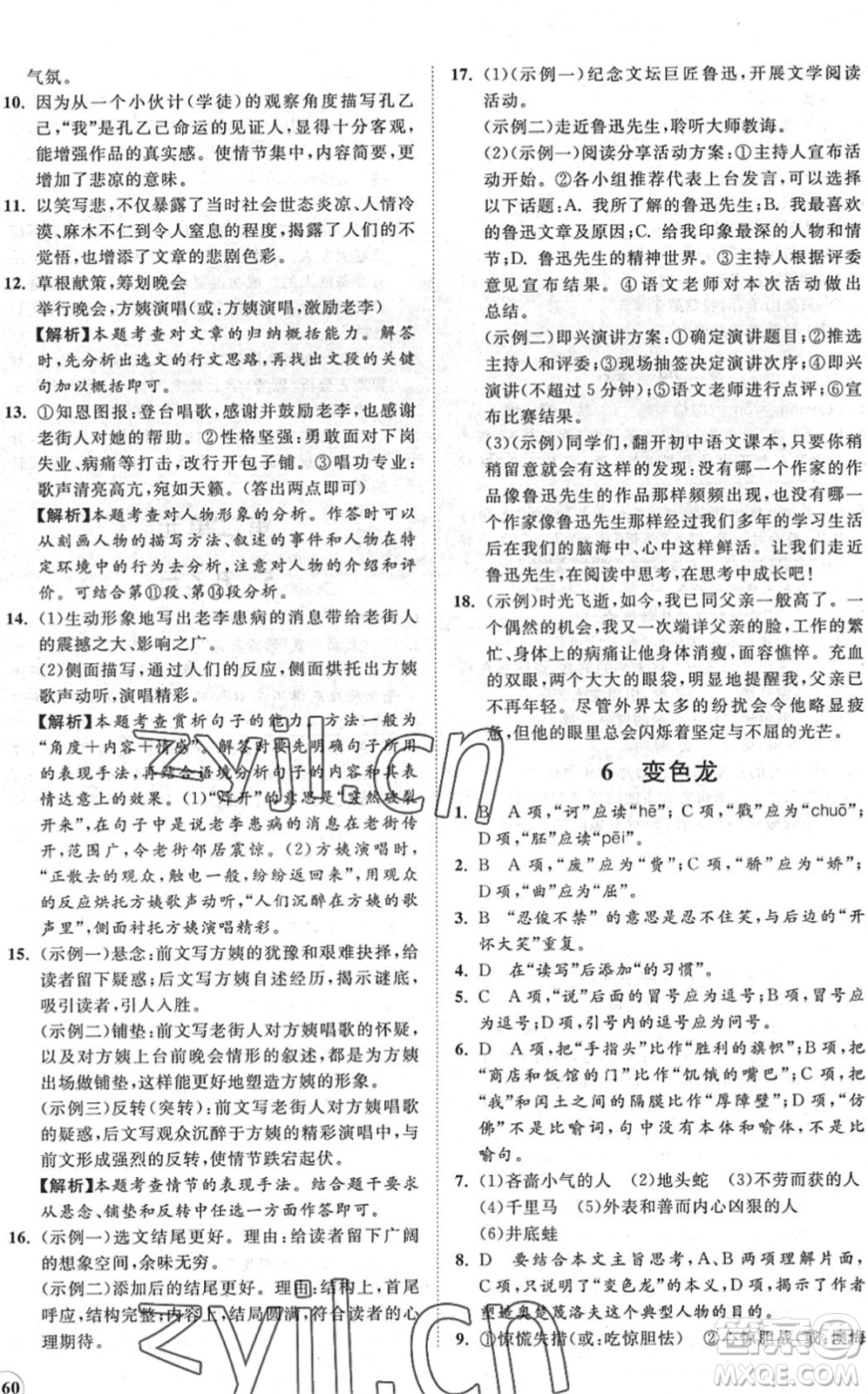 海南出版社2022知行課堂新課程同步練習(xí)冊(cè)九年級(jí)語(yǔ)文下冊(cè)人教版答案