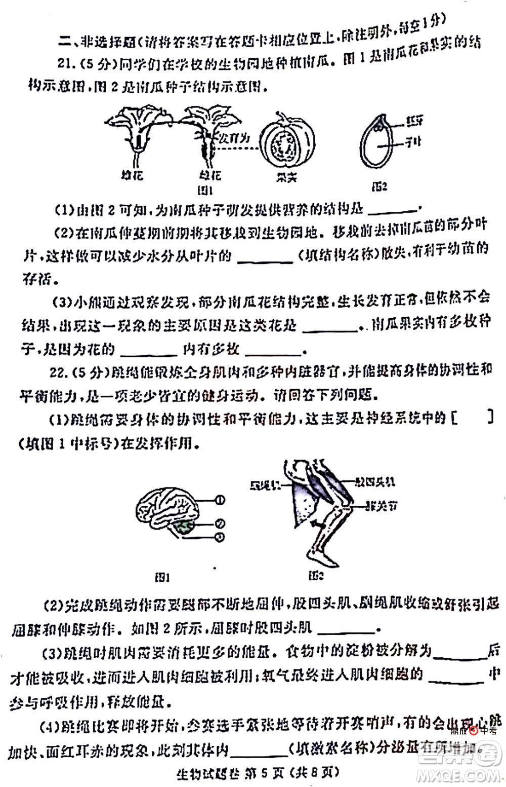 2022年鄭州市中招適應性測試生物試卷及答案