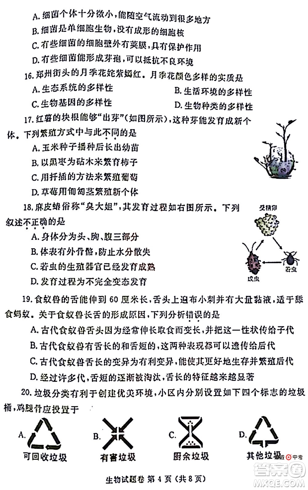 2022年鄭州市中招適應性測試生物試卷及答案