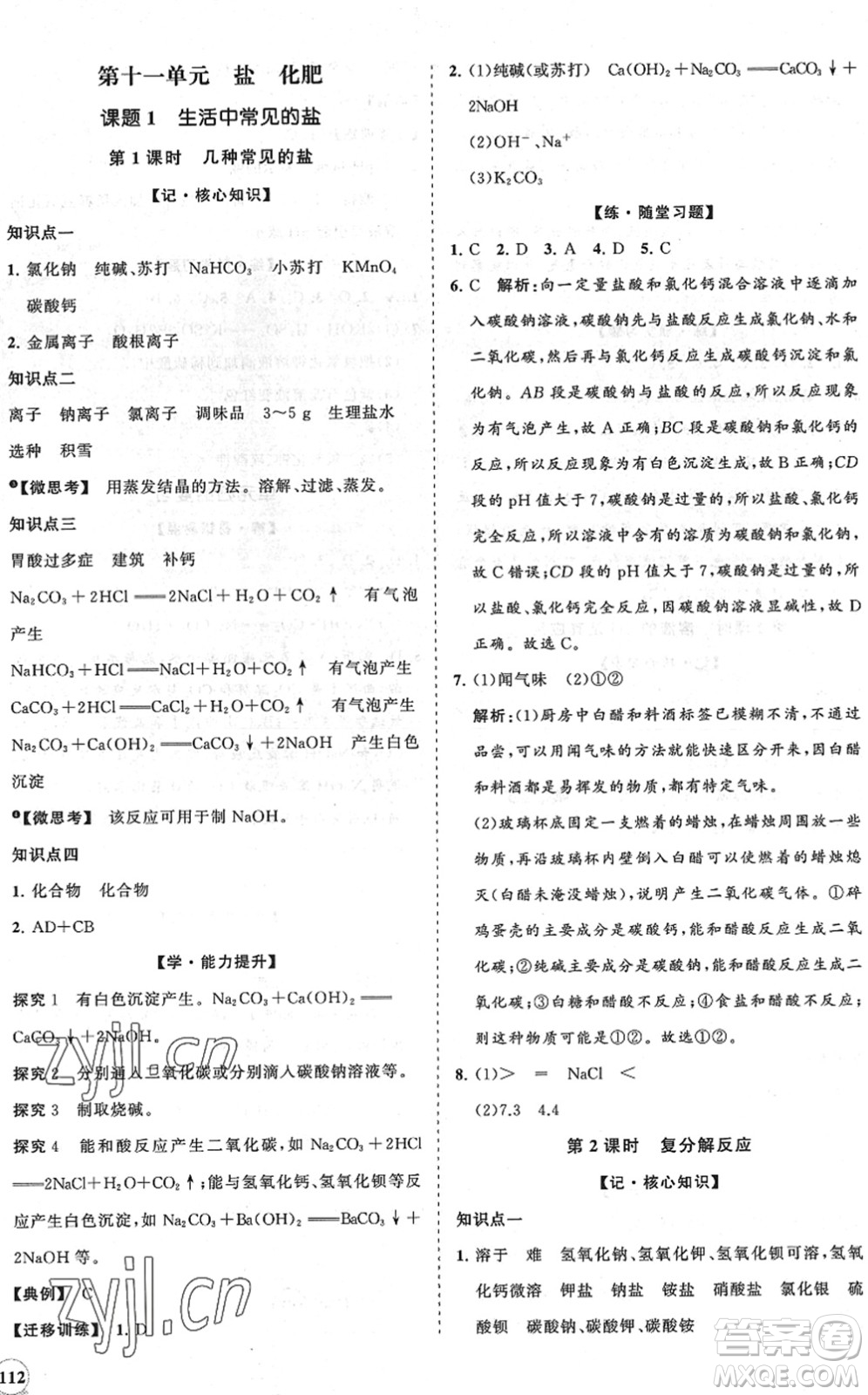 海南出版社2022知行課堂新課程同步練習冊九年級化學下冊人教版答案