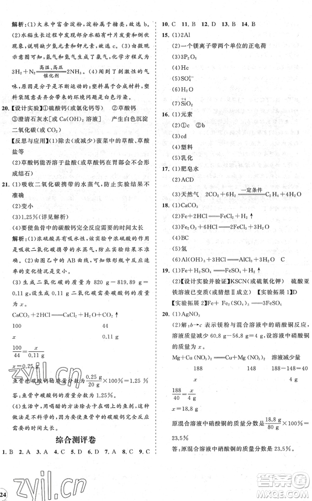 海南出版社2022知行課堂新課程同步練習冊九年級化學下冊人教版答案