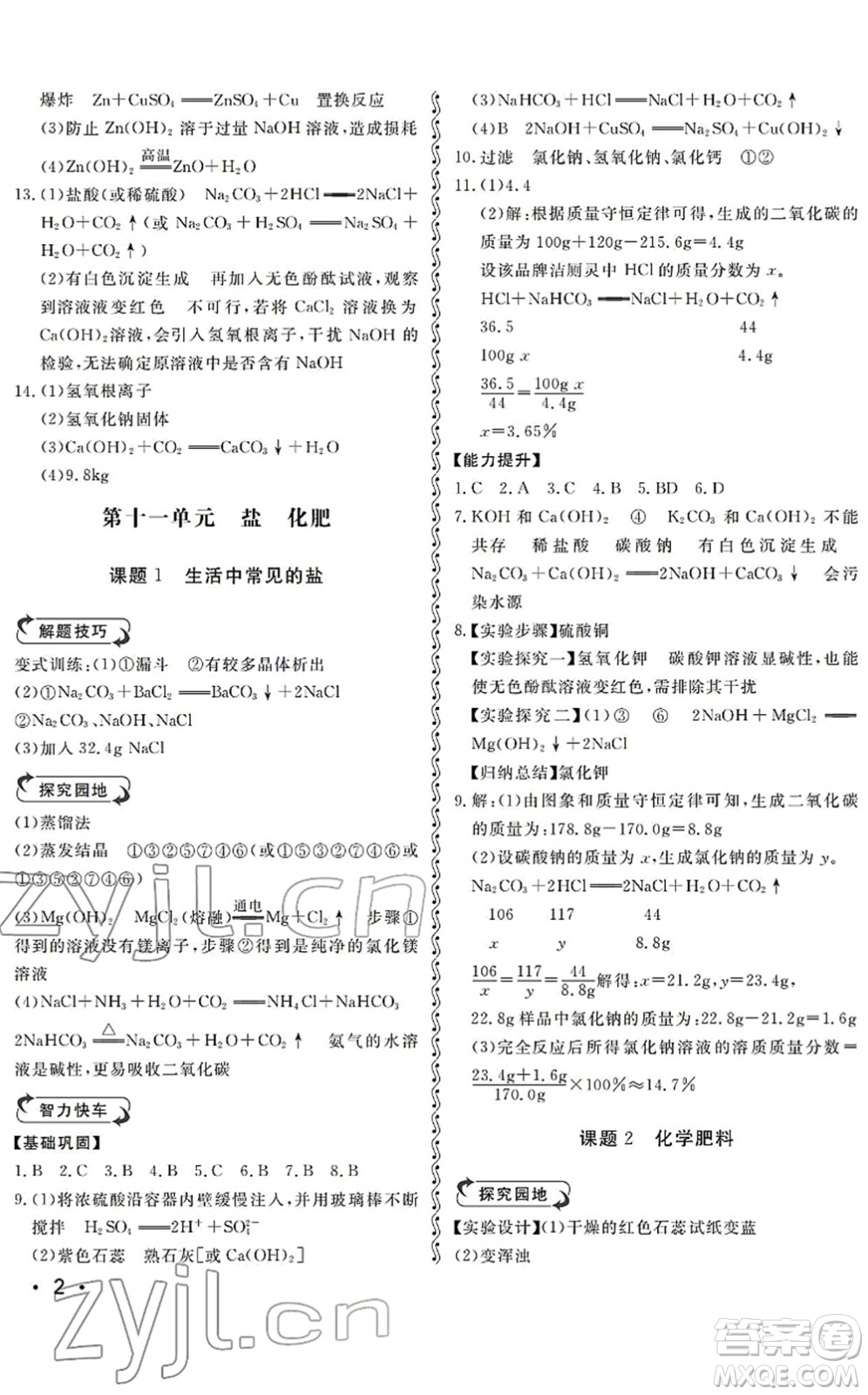 山東人民出版社2022初中卷行知天下九年級化學下冊人教版答案