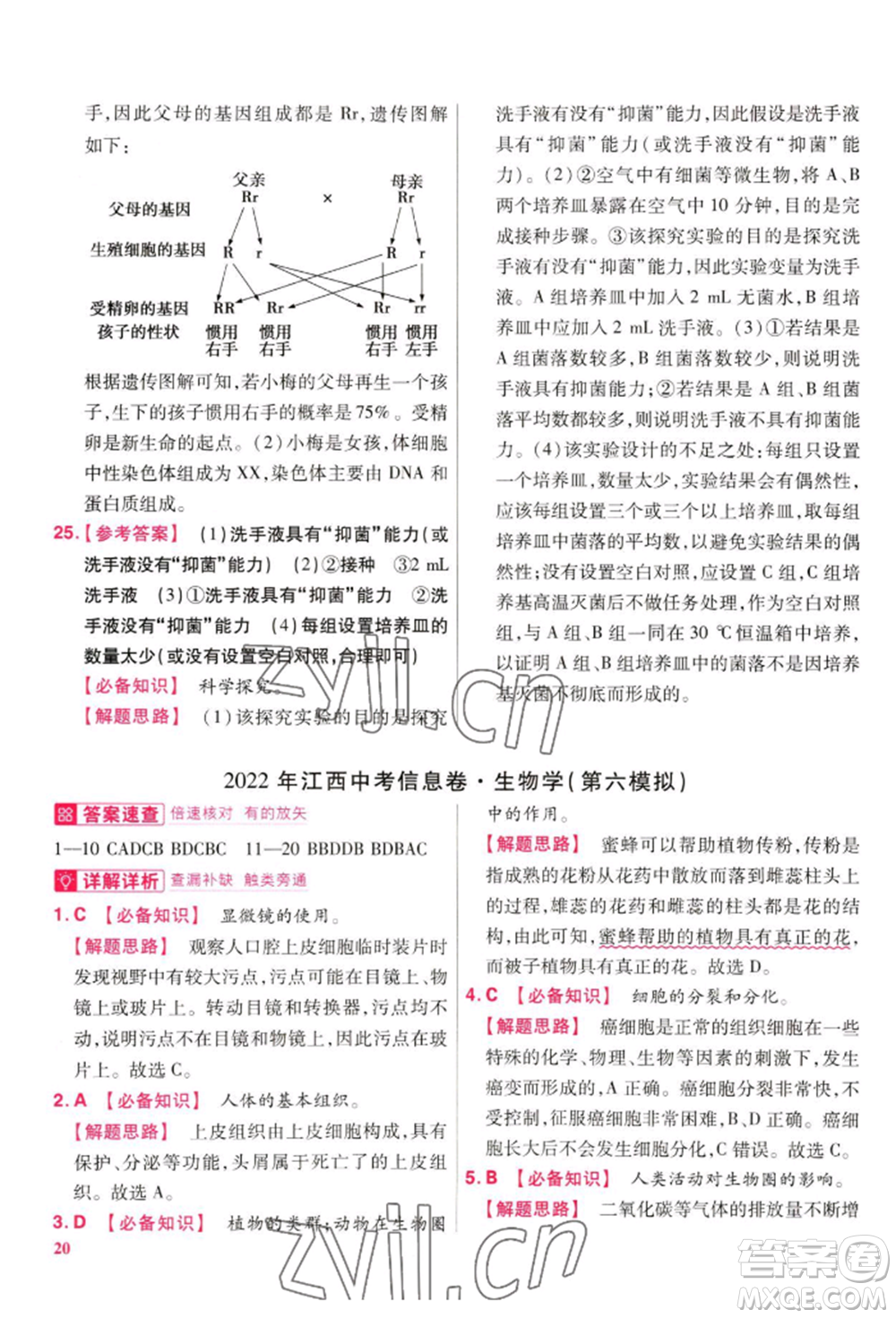 延邊教育出版社2022金考卷百校聯(lián)盟中考信息卷生物學(xué)通用版江西專版參考答案