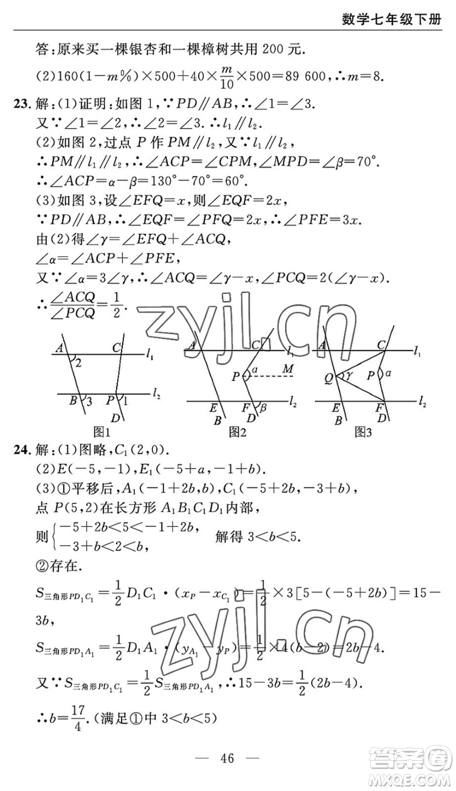 長江少年兒童出版社2022智慧課堂自主評(píng)價(jià)七年級(jí)數(shù)學(xué)下冊通用版宜昌專版答案