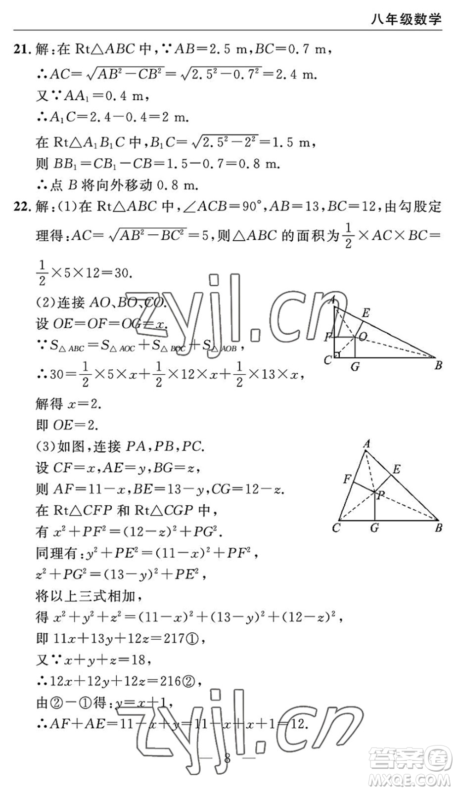 長(zhǎng)江少年兒童出版社2022智慧課堂自主評(píng)價(jià)八年級(jí)數(shù)學(xué)下冊(cè)通用版宜昌專版答案