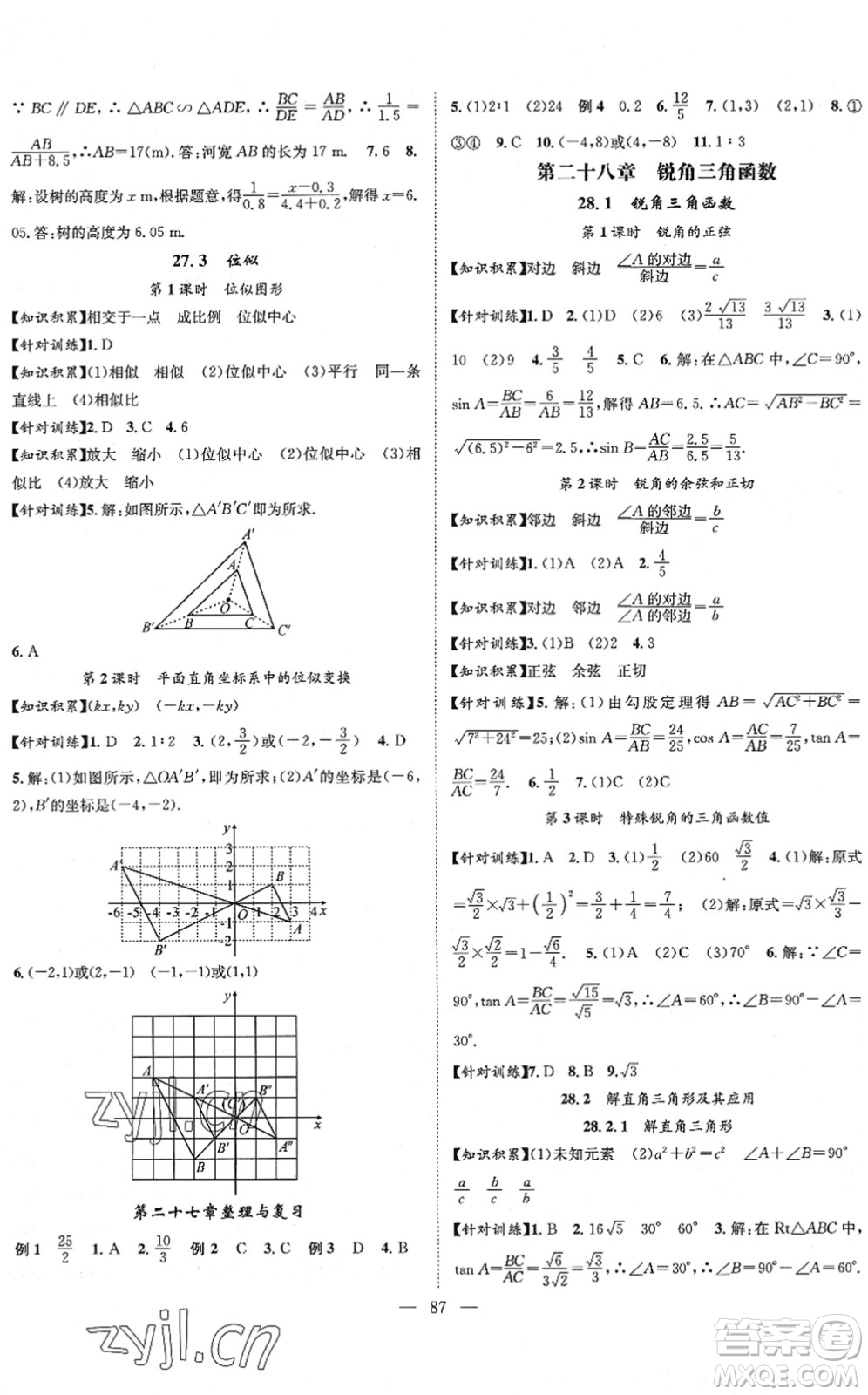 長江少年兒童出版社2022智慧課堂創(chuàng)新作業(yè)九年級數(shù)學(xué)下冊人教版答案