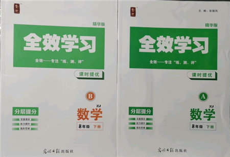 光明日?qǐng)?bào)出版社2022全效學(xué)習(xí)課時(shí)提優(yōu)八年級(jí)下冊(cè)數(shù)學(xué)浙教版精華版參考答案