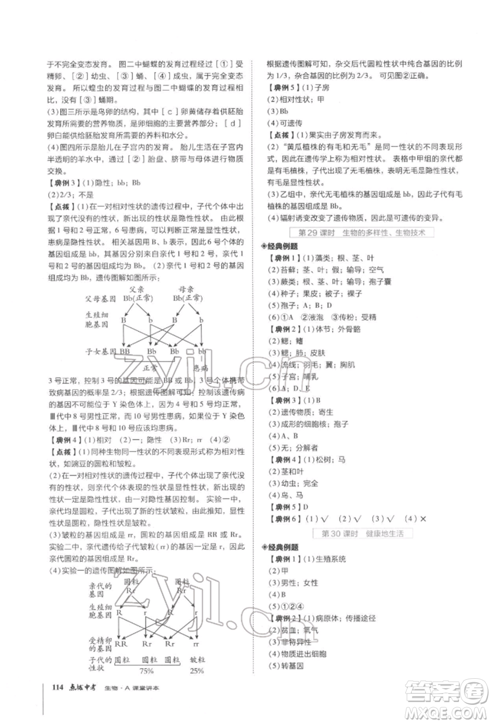 安徽教育出版社2022榮德基點(diǎn)撥中考生物通用版福建專版參考答案