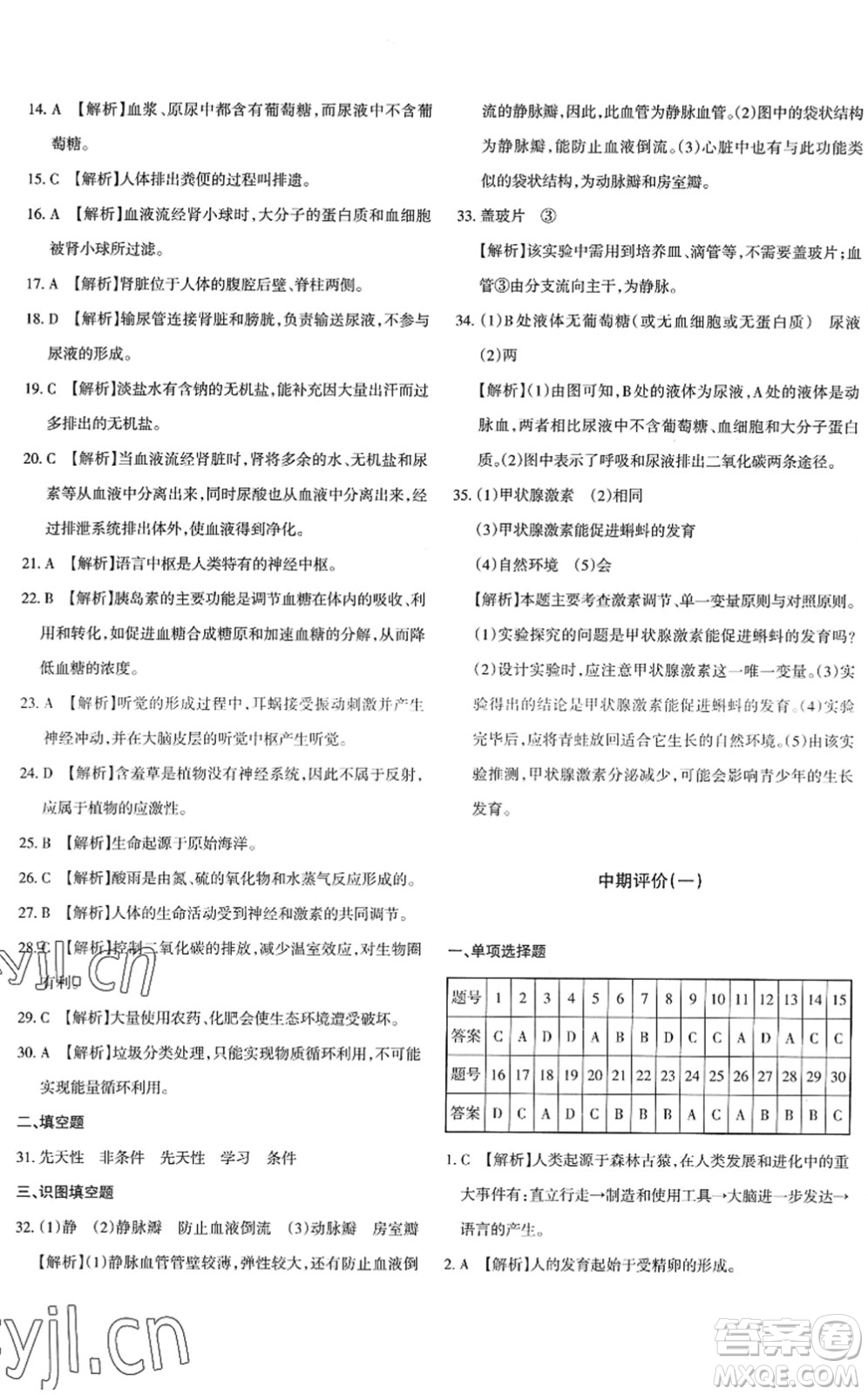 新疆青少年出版社2022優(yōu)學(xué)1+1評價與測試七年級生物下冊人教版答案