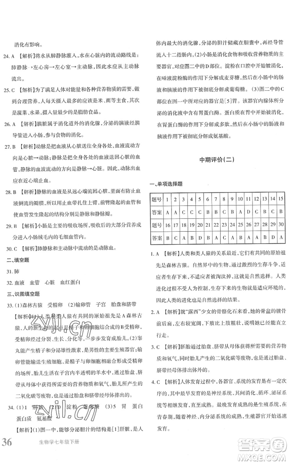 新疆青少年出版社2022優(yōu)學(xué)1+1評價與測試七年級生物下冊人教版答案