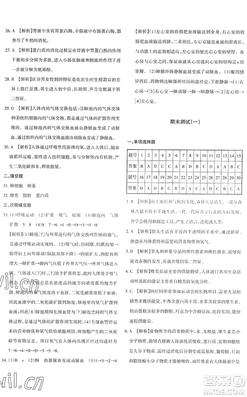 新疆青少年出版社2022優(yōu)學(xué)1+1評價與測試七年級生物下冊人教版答案